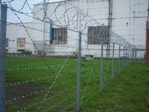 єгоза купити